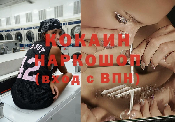 соль ск Абаза
