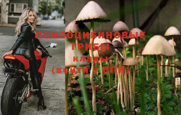 трава Абинск