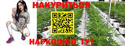 сатива Ярославль