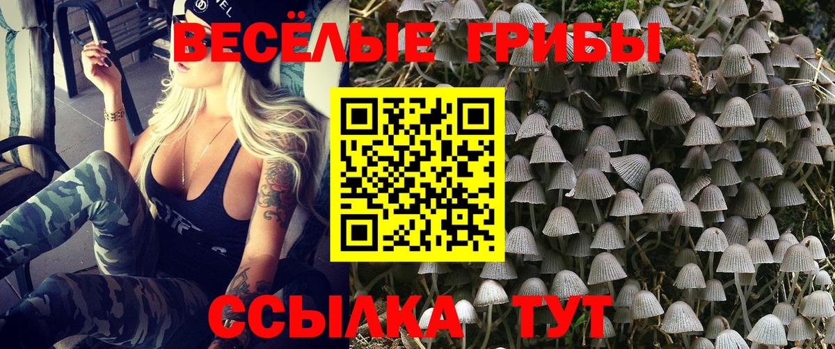 Галлюциногенные грибы ЛСД  Псилоцибиновые грибы MAGIC MUSHROOMS  Майский  Вход с VPN 