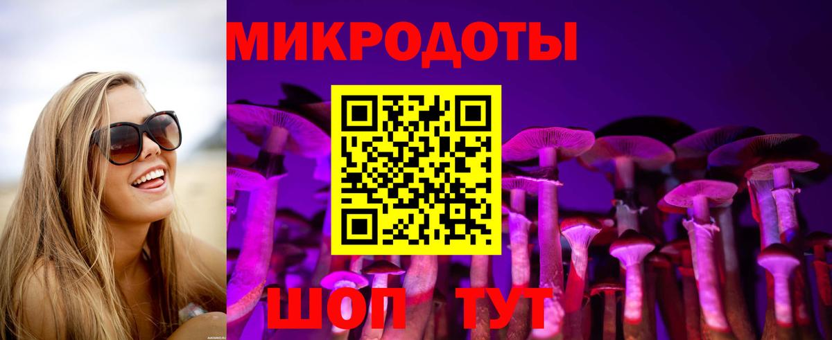 Галлюциногенные грибы Psilocybe Майский